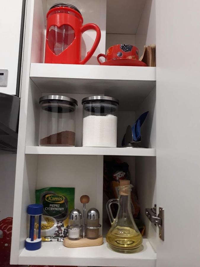 Apartament W Sercu Warmii II Olsztyn  Exteriör bild